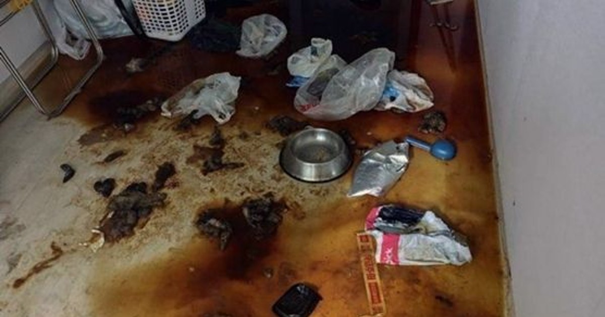 군위 쓰레기집청소, 골목 집은 왜 더 손이 갈까 5